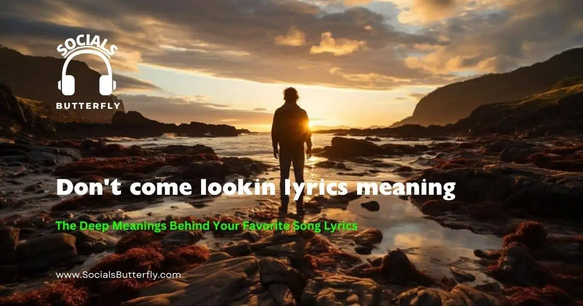 Image depicting the phrase "Don't come lookin' for lyrics meaning" emphasizing the complexity of song interpretations.