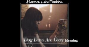 Dog Days Are Over Lyrics Meaning