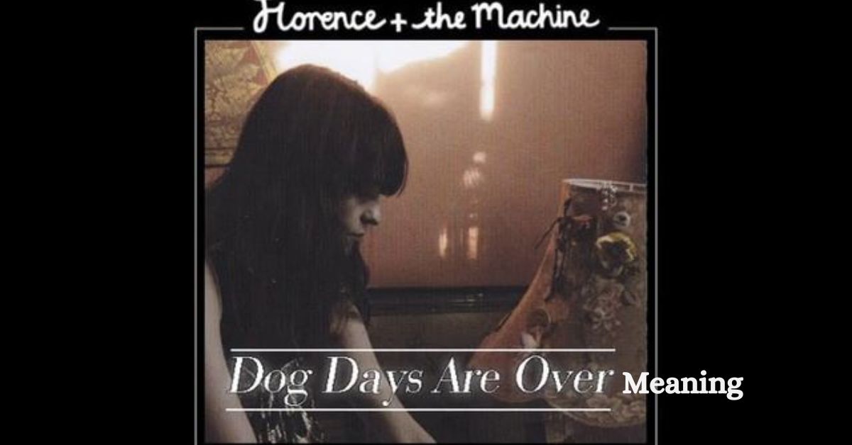 Dog Days Are Over Lyrics Meaning