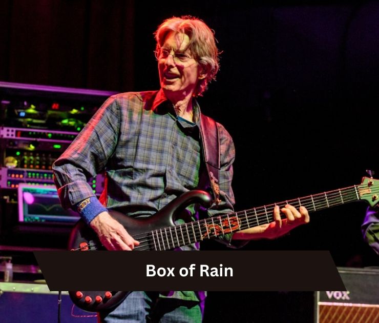 Box of Rain