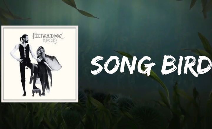 Songbird Fleetwood Mac