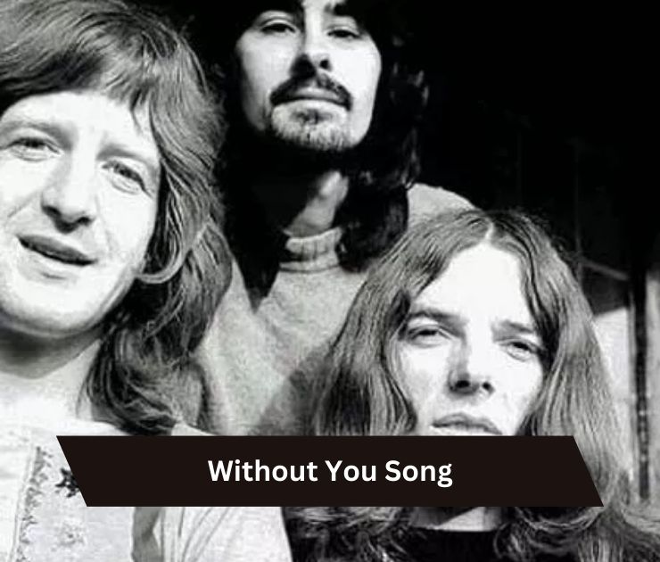 Without You Song
